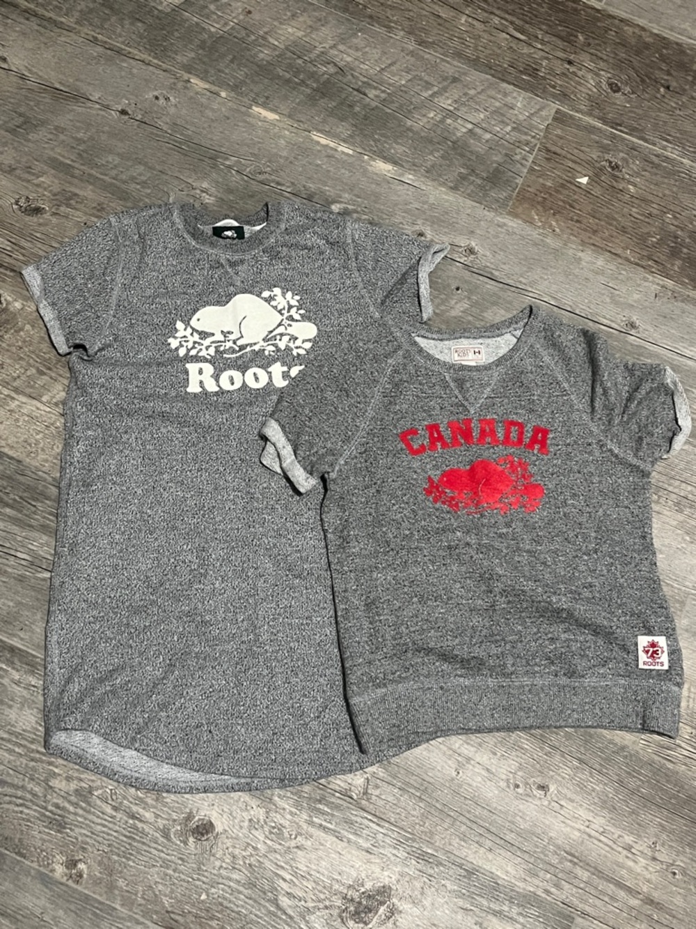 Roots Kids Grey Short Sleeve Sweatshirt & Roots Short Sleeve Dress